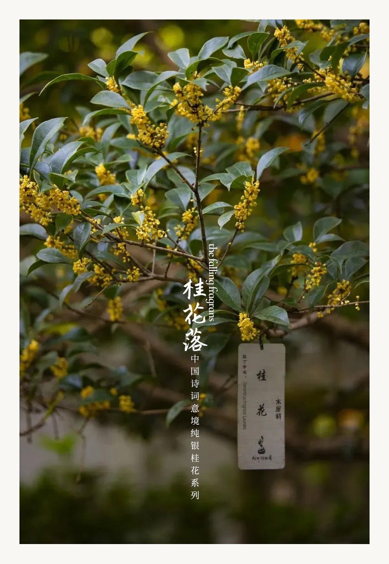 Osmanthus RIng - Ring - ORIENTGEM